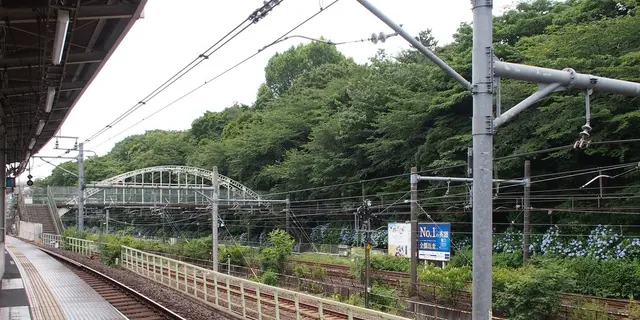 飛鳥山公園のアジサイ見てきたよー