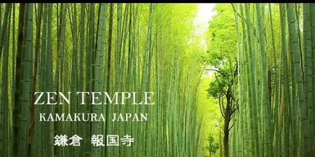 明日どこか行かない？そんな急でも大丈夫。大人の鎌倉、湘南デートプラン！【平日推奨】