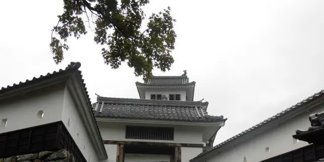 食品サンプル発祥の郡上八幡。郡上八幡城から眺める城下町