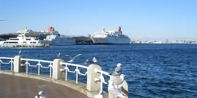 冬の休日に！❄️横浜周辺の大人なお散歩デート👫❤️