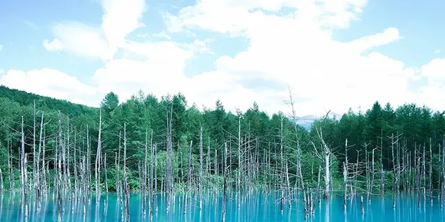 冬の道北～