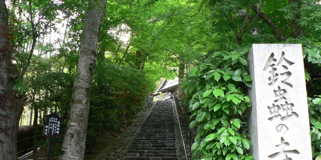初めて京都にくる人にオススメする定番とちょっとデープな旅(笑) 西エリア編