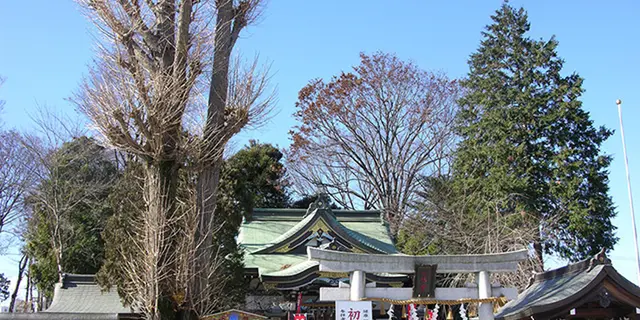 【川越】御朱印めぐり(8ヶ所9種✌️1日コース)お一人様、デート、女子旅に❗️えんむすび多め❤️