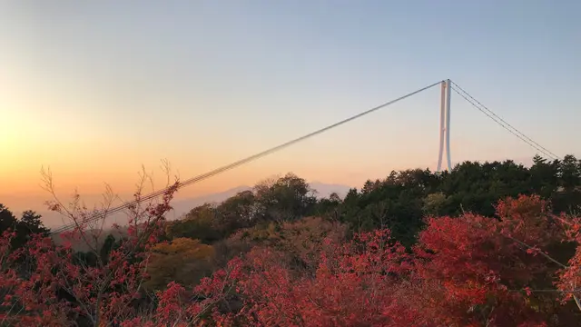 三島スカイウォーク 紅葉