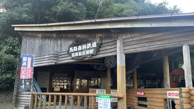 【高知】おすすめ観光スポットまとめ✨
