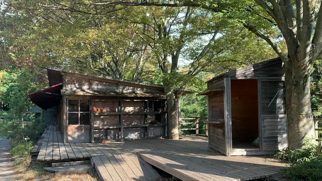 【香川】坂出・丸亀・善通寺エリアの観光おすすめスポットまとめ✨