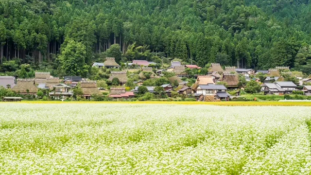 【美山】おやつをつまみながら日本の原風景を歩く♪ かやぶきおやつさんぽ