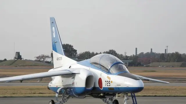 やっぱり航空機が好き！岐阜基地航空祭とビュースポット