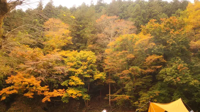 懐かしくのんびりできるキャンプ場と古民家カフェ
