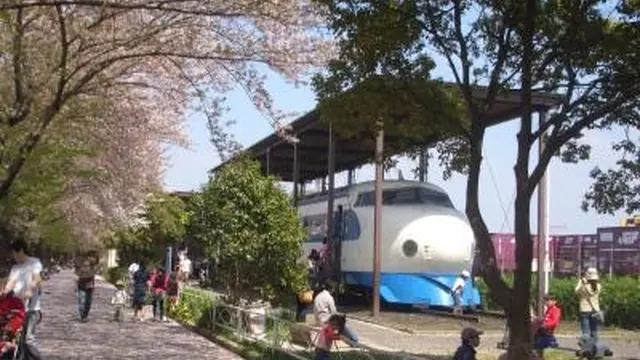 鉄道ファン必見!満開の桜と一緒に記念撮影しよう!