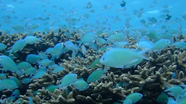 渡嘉敷島で夏を先取り！