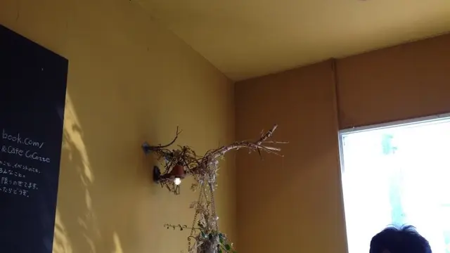 黄色好きのための黄色スポットツアー!!@福井市駅前