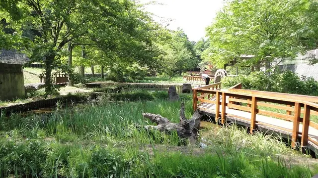 みやまえ路線バスツアー「みやまえを流れる川を辿って」