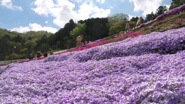 春の芝桜と姫路夢前地区オススメスポット巡る旅