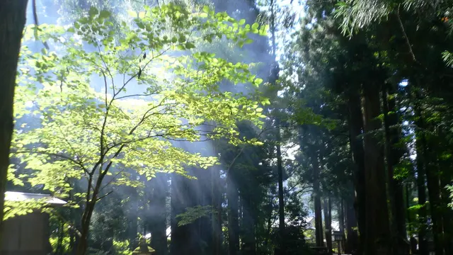 パワースポットマニアさんと巡る富山県の聖地