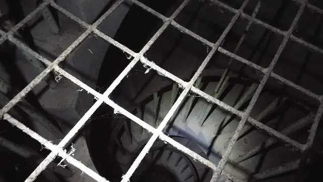 加茂ナイトハイク