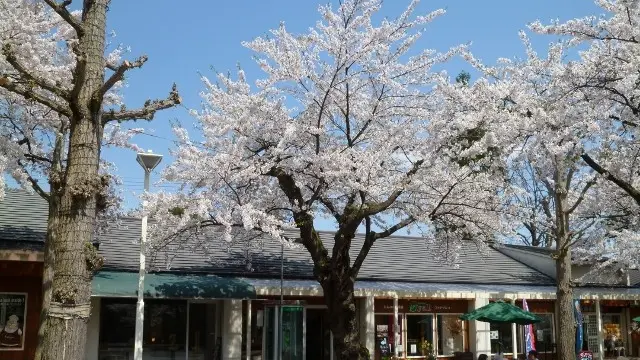 【花巻温泉】温泉漬けのラブラブコース