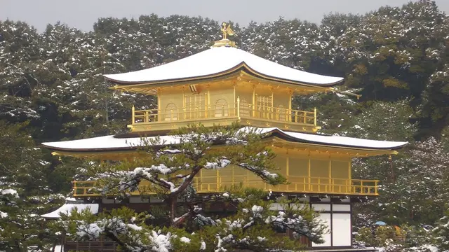 グルメバイキングがめちゃ安い!?金閣寺と上賀茂神社だけやない京都のホンマ