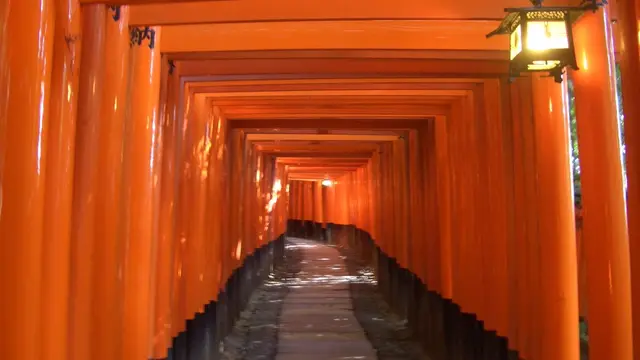 千本鳥居の伏見稲荷と鳥羽伏見