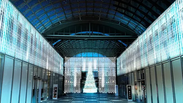 グランドニッコー東京 台場（イルミネーションアイランドお台場 2024）