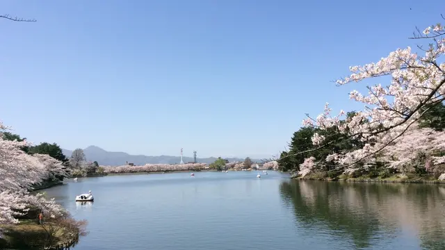 盛岡の国道4号線沿いにある高松の池で散策