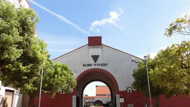 神戸ワイナリーでワインをたしなんで