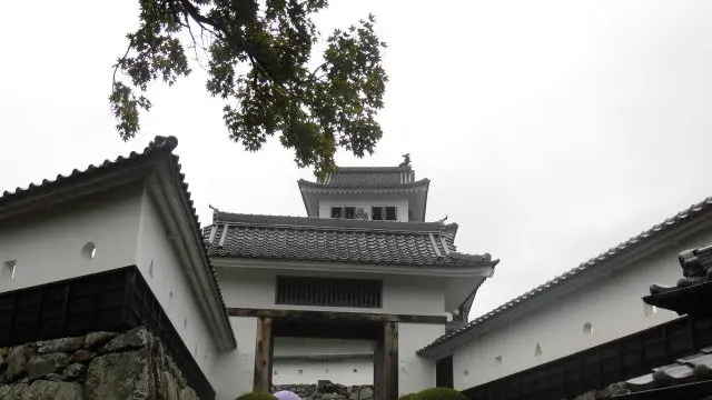 食品サンプル発祥の郡上八幡。郡上八幡城から眺める城下町