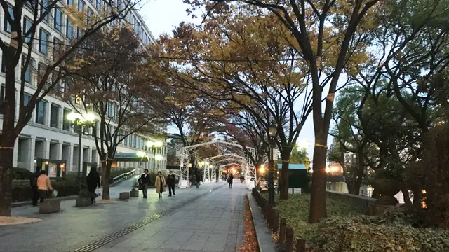 中之島のイルミネーション点灯！！OSAKA光 のルネサンス2016！！