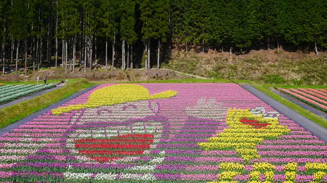 100万本のチューリップ畑とお菓子の神社・菓子祭りを巡る旅
