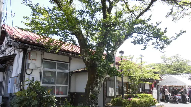 若桜鉄道で楽しむローカル路線の旅