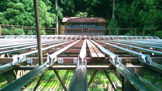 楽しそうな夏を水と森と温泉と!in宍粟市。