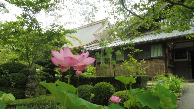 浜松市で歴史ウォーク、井伊直虎ゆかりの地へGO!
