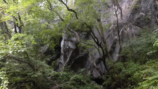 え?ワニって美味しいの?自然美しい帝釈峡に遊びに行こう!