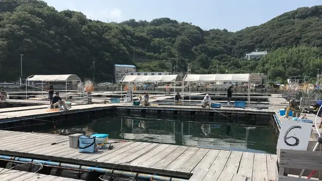 手ぶらでいこう!!姫路市家島の釣堀スポット