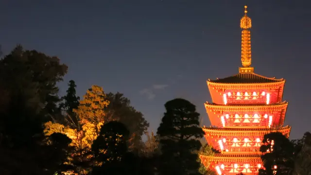 これが東京？！関東三大不動尊・高幡周辺を巡る！