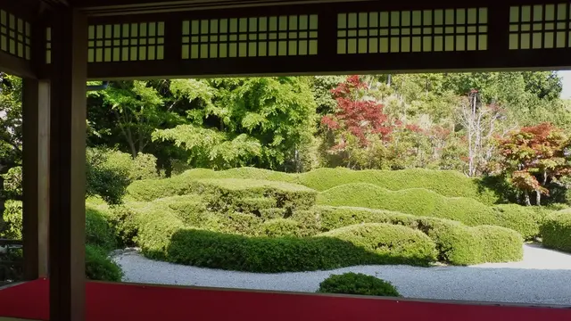 混雑なし！リフレッシュできる滋賀県甲賀市の”かくれ里”社寺巡り