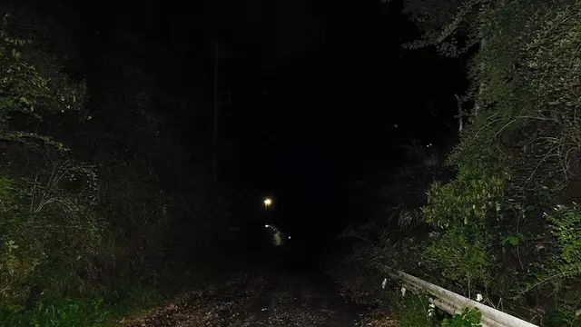 青梅ナイトハイク