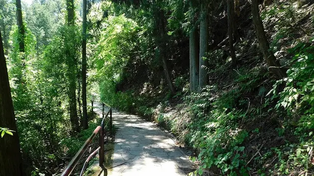 湖のひみつ