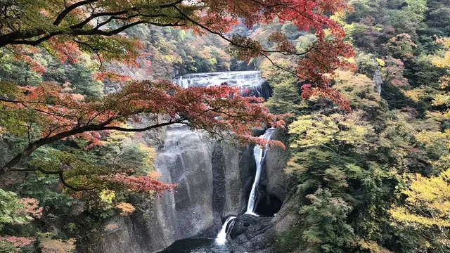 日帰りで紅葉と温泉を満喫