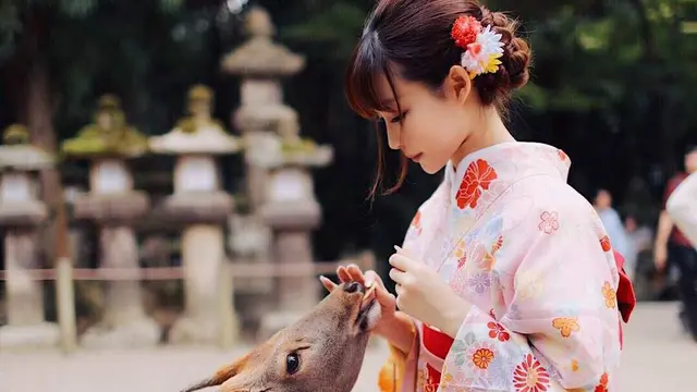 ならまちを遊びつくせプラン