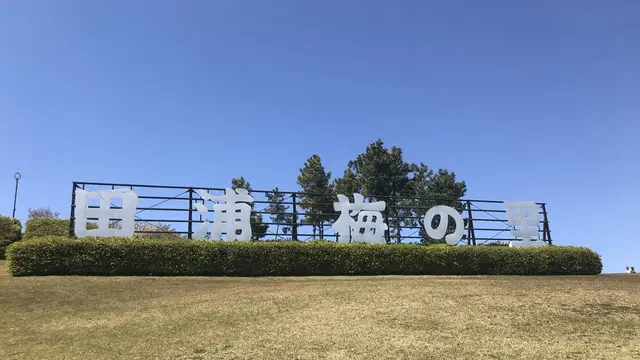 【横須賀】午後から散歩プラン