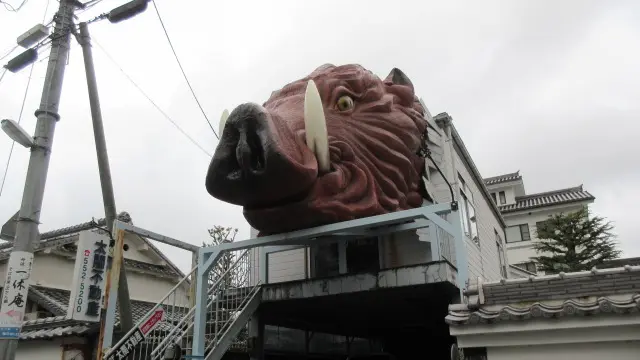 え？猪頭！デカンショうどん！？ボタン鍋・炭酸飲料がうまい！？丹波篠山