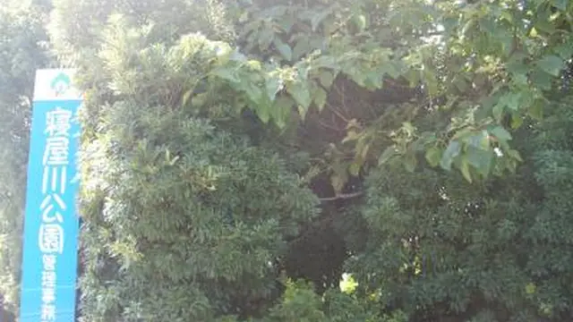 寝屋川公園で楽しむ家族時間