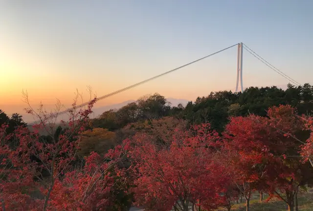 三島スカイウォーク 紅葉