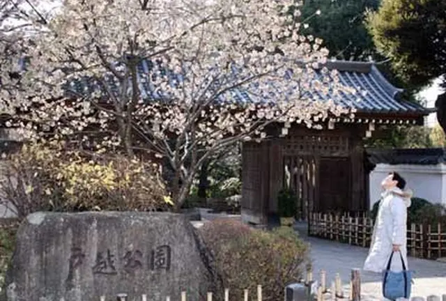 戸越銀座でお花見＆食べ歩き。
