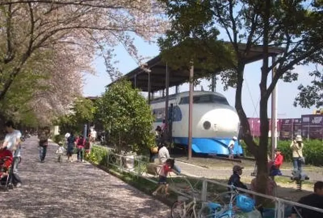 鉄道ファン必見！満開の桜と一緒に記念撮影しよう！