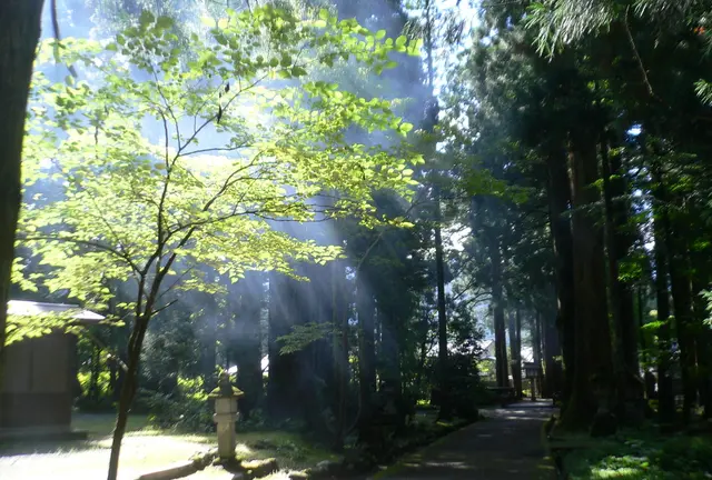 パワースポットマニアさんと巡る富山県の聖地