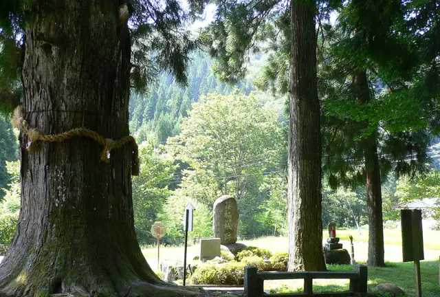 パワースポットマニアさんと巡る岐阜県郡上市の聖地