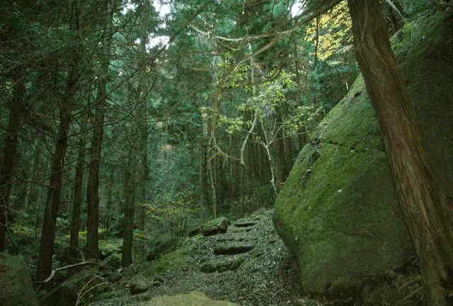 石老山日帰り登山と相模湖渡し舟の旅