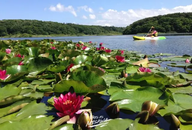【青森県】湖と自然を全力で楽しむためのプラン🪿🌿